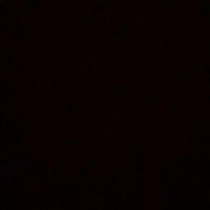 Meet your Posher, Dylan